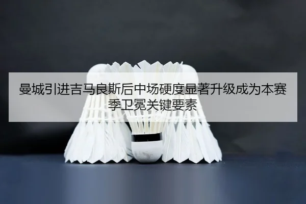 曼城引进吉马良斯后中场硬度显著升级成为本赛季卫冕关键要素